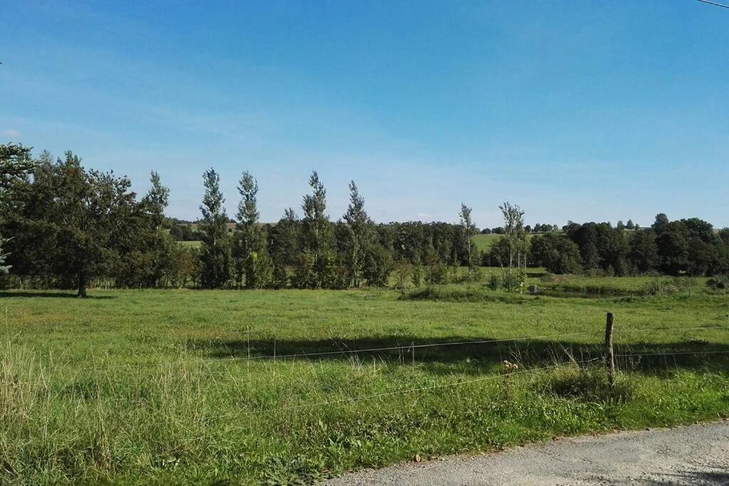 Ferienwohnung In Mittelsaida Grosshartmannsdorf Zewnętrze zdjęcie