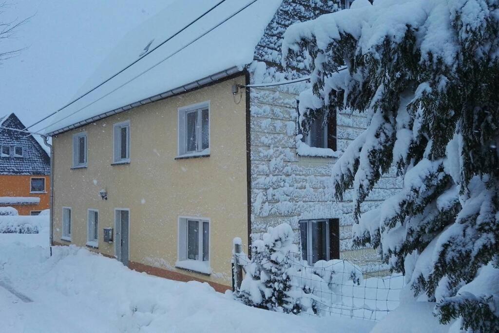 Ferienwohnung In Mittelsaida Grosshartmannsdorf Zewnętrze zdjęcie