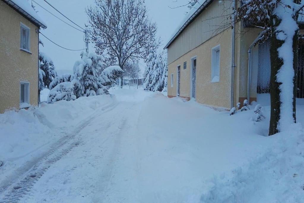 Ferienwohnung In Mittelsaida Grosshartmannsdorf Zewnętrze zdjęcie